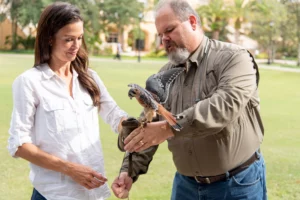 Falconry School