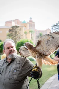 Falconry School