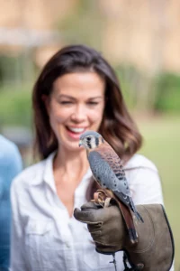 Falconry School