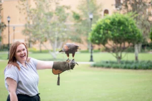 Falconry School