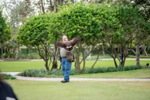 Falconry School