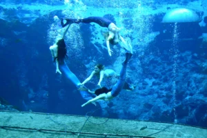 Weeki Wachee Springs underwater mermaid performance