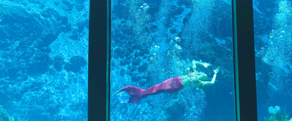 Weeki Wachee Springs, Mermaid swimming, Buccaneer Bay