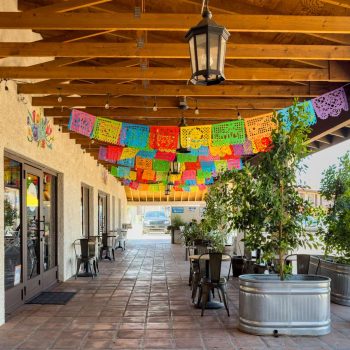 Goji berry, exterior hallway, vegan, phoenix